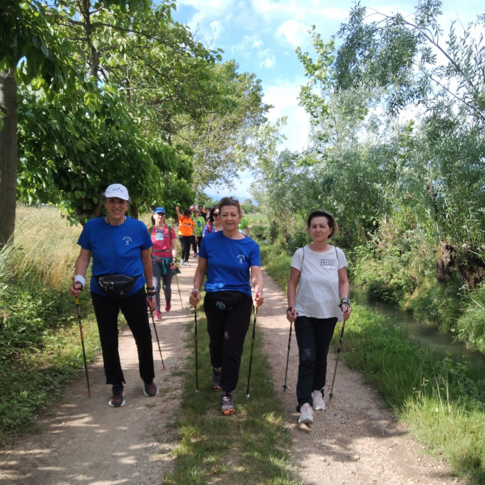 Nordic Walk IN Sile